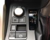 Lexus NX 200T Fsports 2016 - Bán xe Lexus NX 200T Fsports sx 2016, màu trắng, xe nhập Mỹ