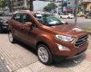 Ford EcoSport Titanium 1.5P AT 2017 - Bán Ford Ecosport 2018, xe giao ngay, giá cạnh tranh, chỉ cần trả trước 10% là nhận ngay xe, LH: 0935437595