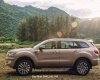Ford Everest Titanium 2.0 4x2 2018 - Ford Everest 2.0 tubor đơn 2018 công suất 180 mã lực, nhập khẩu nguyên chiếc giao tại Điện Biên LH: 0941921742