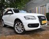 Audi Q5   2.0T   2009 - Cần bán Audi Q5 2.0T 2009, màu trắng số tự động