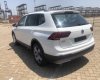Volkswagen Tiguan 2018 - Cần bán Volkswagen Tiguan đời 2018, màu trắng, nhập khẩu chính hãng