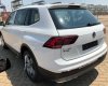 Volkswagen Tiguan    2018 - Bán Volkswagen Tiguan đời 2018, màu xám, xe nhập
