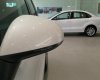 Volkswagen Touareg  3.6L V6 FSI 2017 - Cần bán xe Volkswagen Touareg 3.6L V6 FSI 2017, màu trắng, xe nhập