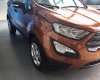 Ford EcoSport Ambiente 2018 - Bình Phước giá xe Ford Ecosport 2018 giá rẻ nhất, giao xe tận nhà. LH 0898 482 248