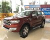 Ford Everest  Trend 2.2L 4x2 AT 2017 - Cần bán xe Ford Everest 3.2 L đời 2017, nhập khẩu, hỗ trợ trả góp 80% - LH 0974286009 hoàn lại cọc nếu không lấy xe