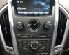 Cadillac SRX   2009 - Bán xe Cadillac sang trọng và lịch lãm
