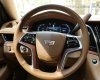 Cadillac Escalade Cũ   ESV PLATINUM 2016 - Xe Cũ Cadillac Escalade ESV PLATINUM 2016