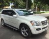 Mercedes-Benz GL Cũ Mercedes-Benz  320 2009 - Xe Cũ Mercedes-Benz GL 320 2009