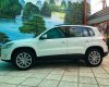 Volkswagen Tiguan   2010 - Bán xe Volkswagen Tiguan 2010 nhập khẩu, giá 599 triệu