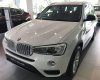 BMW X3   Xdrive 20i  2017 - Bán ô tô BMW X3 2017, màu trắng, xe nhập mới 100%