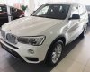 BMW X3   Xdrive 20i  2017 - Bán ô tô BMW X3 2017, màu trắng, xe nhập mới 100%