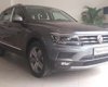 Volkswagen Tiguan 2018 - Bán xe Volkswagen Tiguan năm sản xuất 2018, màu xám (ghi), nhập khẩu