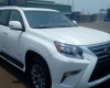 Lexus GX 460 Luxury 2018 - Bán Lexus GX460 Luxury sản xuất 2018 xuất Mỹ