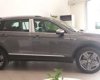 Volkswagen Tiguan 2018 - Bán xe Volkswagen Tiguan năm sản xuất 2018, màu xám (ghi), nhập khẩu