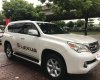 Lexus GX Cũ   460 2010 - Xe Cũ Lexus GX 460 2010