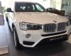 BMW X3 Mới   XDive 20i Twin Power Turbo 2018 - Xe Mới BMW X3 XDive 20i Twin Power Turbo 2018