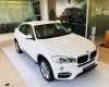 BMW X6 Mới   XDrive35i 2018 - Xe Mới BMW X6 XDrive35i 2018