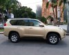 Toyota Prado Cũ   TXL 2012 - Xe Cũ Toyota Prado TXL 2012