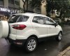 Ford EcoSport Cũ   Titanium 2015 - Xe Cũ Ford EcoSport Titanium 2015