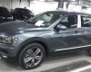 Volkswagen Tiguan E 2018 - Bán xe Volkswagen Tiguan E đời 2018, màu bạc, nhập khẩu chính hãng