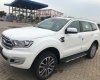 Ford Everest Titanium 2018 - Bán Ford Everest Titanium đời 2018, màu trắng, xe nhập khẩu, hỗ trợ trả góp LH: 0941921742