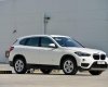 BMW X1 Cũ   SDrive20i 2016 - Xe Cũ BMW X1 SDrive20i 2016