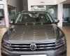 Volkswagen Tiguan E 2018 - Cần bán xe Volkswagen Tiguan E 2018, màu nâu, xe nhập