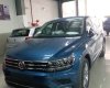 Volkswagen Tiguan E 2018 - Cần bán xe Volkswagen Tiguan E đời 2018, màu xanh lam, nhập khẩu chính hãng