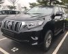 Toyota Prado VX 2018 - Cần bán Toyota Prado VX đời 2018, màu đen, nhập khẩu