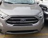 Ford EcoSport 2018 - Ford Thái Bình bán xe Ford Ecosport 2018 màu bạc