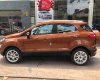 Ford EcoSport 2018 - Bán Ecosport 2018 giá rẻ nhiều ưu đãi tại Gia Lai 545 triệu