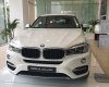 BMW X6 Xdrive35i 2017 - BMW Phú Mỹ Hưng - BMW X6 Xdrive35i 2017 - mới 100% nhập khẩu nguyên chiếc