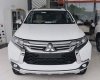 Mitsubishi Pajero 4x2 AT Diesel 2018 - Bán Mitsubishi Pajero 4x2 AT Diesel sản xuất năm 2018, màu trắng, xe nhập