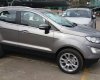 Ford EcoSport Titanium 2018 - Ford Hòa Bình bán Ford EcoSport Titanium sản xuất năm 2018, màu bạc, giá cạnh tranh, LH 0941921742