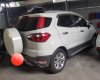 Ford EcoSport 2014 - Bán xe Ford EcoSport 2015, màu trắng