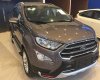 Ford EcoSport  1.5L AT Titanium 2018 - Bán Ford EcoSport sản xuất 2018, màu nâu, giá tốt 