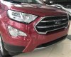 Ford EcoSport 1.0 Ecoboost 2018 - Siêu khuyến mãi Ford EcoSport 1.0 Ecoboost tại Phú Thọ, đủ màu, giao ngay, hỗ trợ 90%, l/h: 0987987588