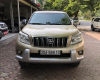 Toyota Prado TXL 2010 - Cần bán xe Toyota Prado TXL năm 2010, nhập khẩu nguyên chiếc chính chủ