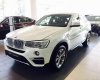 BMW X4 XDrive 20i  2017 - Bán xe BMW X4 XDrive 20i năm 2017, mới 100%