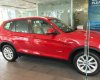 BMW X3 Xdrive20i 2017 - BMW Phú Mỹ Hưng - BMW X3 Xdrive20i - mới 100% nhập khẩu nguyên chiếc