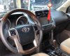 Toyota Prado TXL 2010 - Cần bán xe Toyota Prado TXL năm 2010, nhập khẩu nguyên chiếc chính chủ