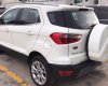 Ford EcoSport 1.0L AT Titanium  2018 - Bán Ford Ecosport Titanium tại Hà Giang giao ngay, đủ màu, giảm cực mạnh, hỗ trợ 80%, 8 năm - LH: 0942552831