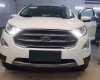 Ford EcoSport 1.0L AT Titanium  2018 - Bán Ford Ecosport Titanium tại Hà Giang giao ngay, đủ màu, giảm cực mạnh, hỗ trợ 80%, 8 năm - LH: 0942552831