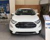 Ford EcoSport 1.0L AT Titanium 2018 - Bán Ford Ecosport Titanium tại Hải Dương giao ngay, đủ màu, giảm cực mạnh, hỗ trợ 80%, 8 năm - LH: 0942552831