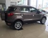 Ford EcoSport Titanium 1.0 2018 - Bán Ecosport 2018 bản Titanium 1.0 màu xám, giá cực tốt cho khách hàng vui lòng liên hệ 0941921742