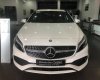 Mercedes-Benz A class 2018 - Bán Mercedes A250 cũ