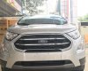 Ford EcoSport 2018 - Ford Phú Thọ tri ân khách hàng trong tháng khuyến mại cực tốt cho khách hàng mua xe Ford Ecosport 2018 - LH 094.697.4404
