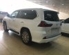 Lexus LX 570 2018 - Cần bán Lexus LX 570 đời 2018, màu trắng, nhập khẩu chính hãng