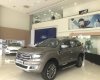 Ford Everest Titanium 2.0L 4WD AT  2018 - Xe giao ngay Ford Everest 2.0 Biturbo 2018 tại Cao Bằng, nhập khẩu - LH 0978212288