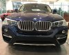 BMW X4 Xdrive20i 2017 - BMW Phú Mỹ Hưng bán BMW X4 Xdrive20i - Mới 100% nhập khẩu nguyên chiếc